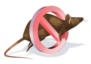 mice1